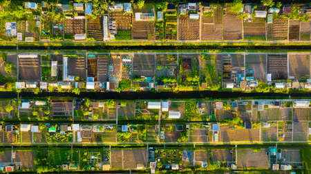 Aerial view of vegetable gardens. Netherlands. Canals with water for agriculture. Fields and meadows. Landscape from a drone.の写真素材