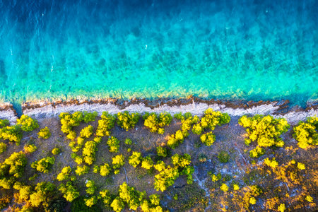 Coast with rocks as a background from top view. Blue water background from top view. Summer seascape from air.の写真素材