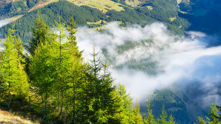 Mountains, forest and meadow. Mountain valley in the mist. Swiss landscape in the summertime. Large resolution photo.の写真素材