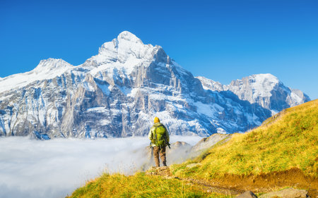Tourist with a backpack in the mountains. Mountain hiking in the high mountains. Travel and adventure. Active life. Landscape in the summertime.の写真素材