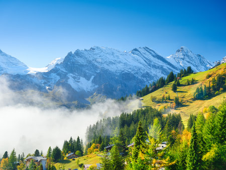 A village in Switzerland. A sunny day and a mountain valley. Houses against a mountain backdrop. Meadow and forest in mountains. High resolution photograph.の写真素材