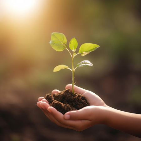 Hands holding young plant in soil on blurred nature background. Ecology conceptの素材
