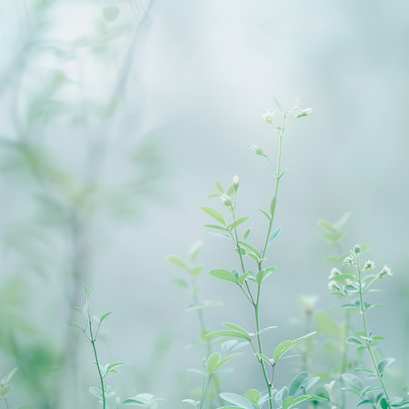 Beautiful green leaves on blur background, soft focus with bokehの素材