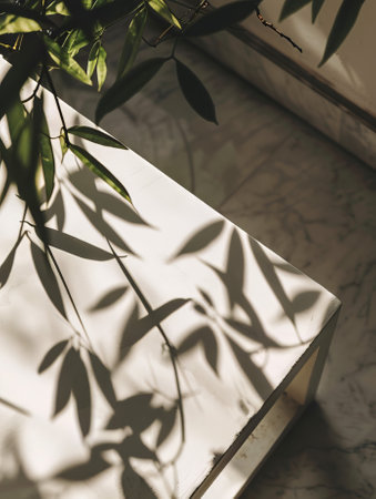Minimalist interior design with plant shadows on white wall. Natural light.の素材