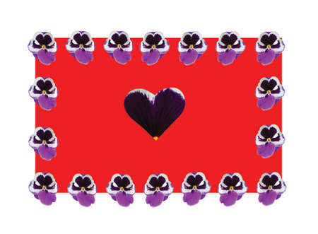 Heart and violetの写真素材