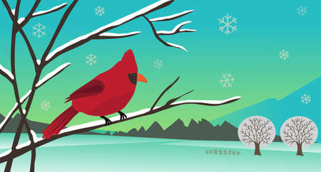 winter cardinal - Winter landscape of a bird sitting on a tree branch  Eps10 のイラスト素材