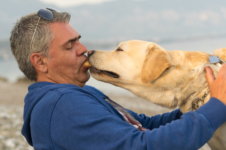 Funny moment of a Labrador dog eating from his owner mouth.の写真素材