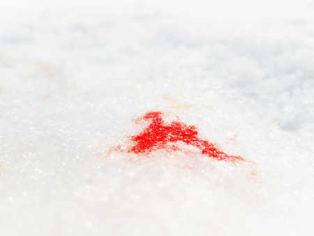 Blood trace on the snow. A terrifying scenic.の写真素材