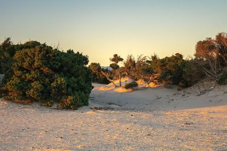 Simos beach in Elafonisos in Greece.