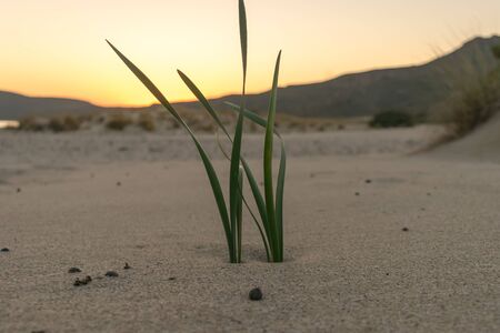 Simos beach in Elafonisos. A beautiful sunset.の写真素材