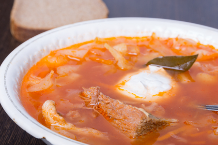 Cabbage soup. Traditional Russian cuisineの写真素材