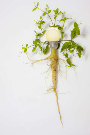 conservationの写真素材