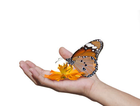 hands with butterfliesの写真素材