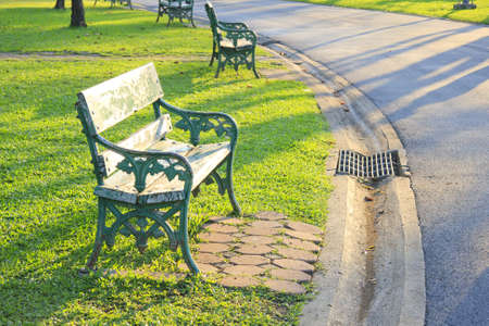beautiful colorful autumn park in sunny day の写真素材