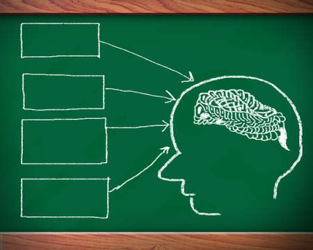 Concept of six ability in human brain  Graph with colorful chart on blackboard の写真素材