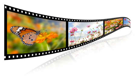 35mm 3d show images of flowers, butterfly video formats の写真素材