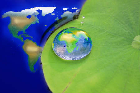 The world in a drop of water on a lotus leaf 