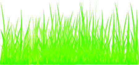 Grass vectorのイラスト素材