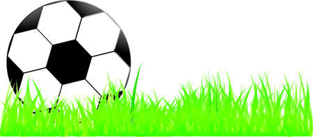 Football on green grass with text area copyspace isolated on white background のイラスト素材