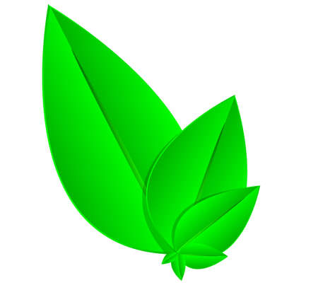 Green nature leaves background のイラスト素材