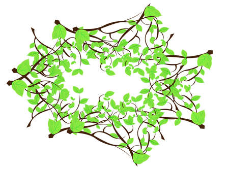 eco brochure with branch of fresh green leaves のイラスト素材