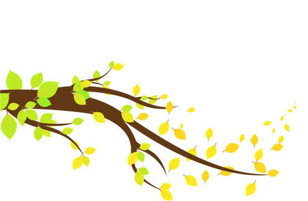  leaves falling isolated on white のイラスト素材