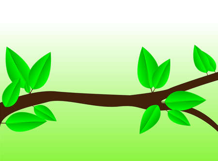 branch with fresh green leaves May be used as illustrations  のイラスト素材