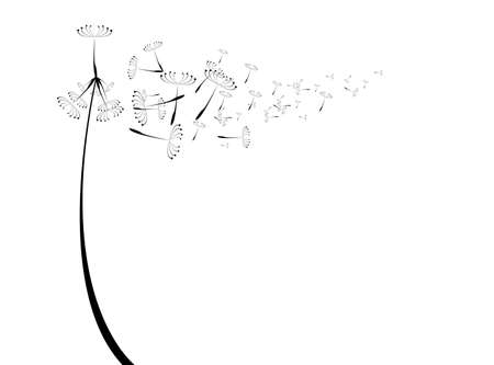 vector dandelionのイラスト素材