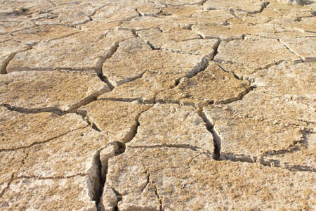 Dry soil and climate 
