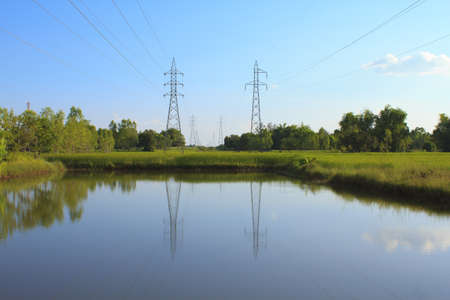 Electric post in the rice field の写真素材