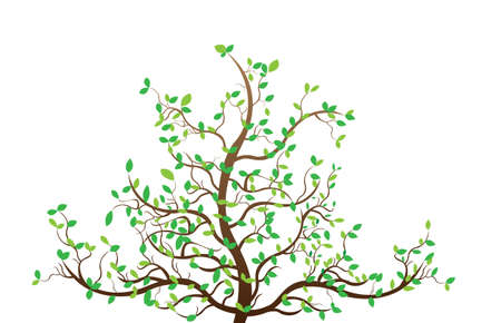 Tree white illustrationのイラスト素材