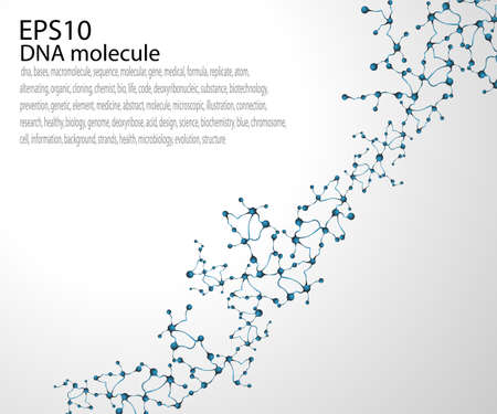 DNA molecule structure のイラスト素材