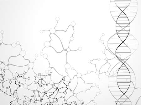 DNA molecule structure のイラスト素材