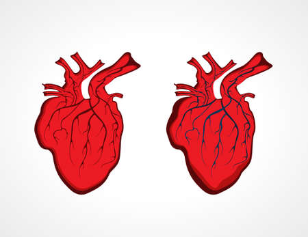 heart. Vector illustration.のイラスト素材