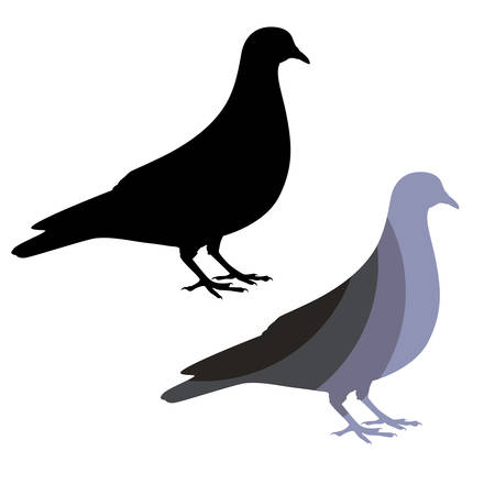Bird logo template vector icon, Flying bird dove logo, swallow icon, Little Bird Social Logo Design Inspiration Vector,のイラスト素材