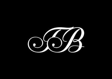 Initial Monogram Letter T B Logo Design Vector Template. T B Letter Logo Designのイラスト素材