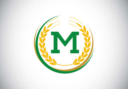 Initial letter M sign symbol with wheat ears wreath. Organic wheat farming logo design concept. Agriculture logo design vector template.のイラスト素材
