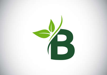 Initial B monogram alphabet with two leaves. Green, eco-friendly logo concept. Modern vector logo for ecological business and company identityのイラスト素材