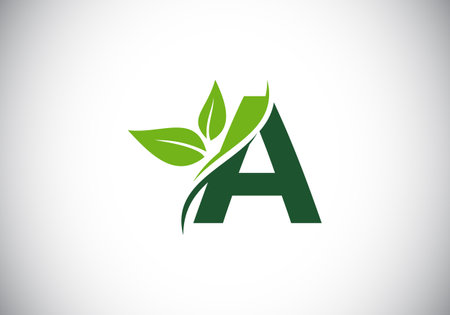 Initial A monogram alphabet with two leaves. Green, eco-friendly logo concept. Modern vector logo for ecological business and company identityのイラスト素材