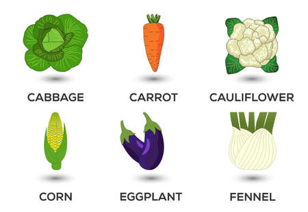 Vegetable icons set vector illustration. Collection of farm products for restaurant menus.のイラスト素材