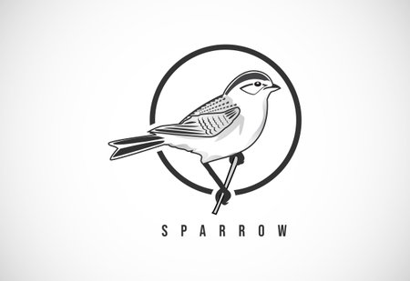 Sparrow in a circle. Sparrow logo design template vector illustrationのイラスト素材