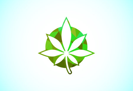 Marijuana leaf. Medical cannabis. Hemp oil. Cannabis or marijuana leaf low poly style logoのイラスト素材
