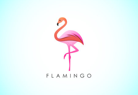 Modern colorful Flamingo bird logo design template vector illustrationのイラスト素材