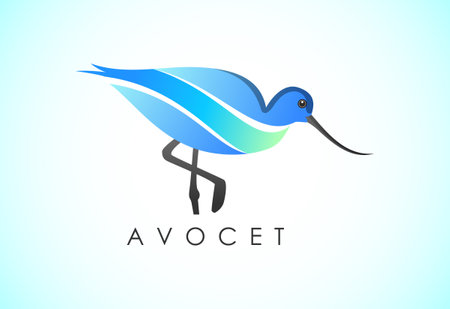 Modern colorful Avocet bird logo design template vector illustrationのイラスト素材