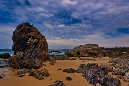 Camel Rock bay in New South Wales, Australia man  with his back turned taking in the view of the oceanの写真素材