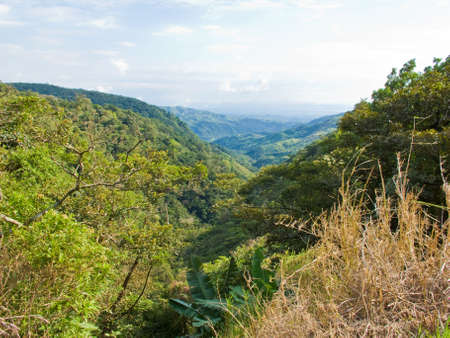Landscape of the Monteverde area of Costa Ricaの写真素材