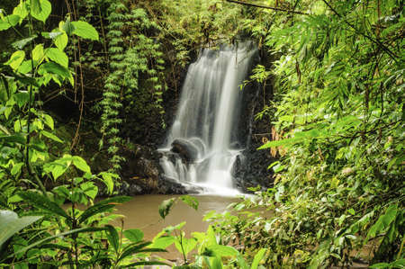 Beautiful waterfall in a clearing in a rain forest in Costa Rica.