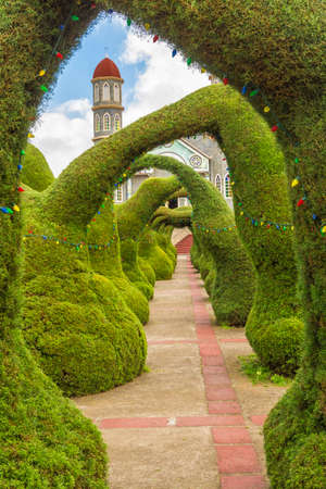 Topiaries of cypress decorated with christmas lights.のeditorial素材
