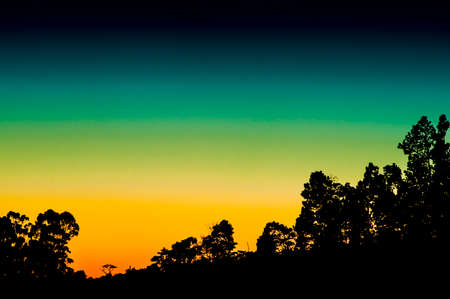 Silhouetted trees against a colorful sunset in Costa Ricaの写真素材
