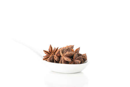 Whole star of anise presented in a white spoon with ample copy space..